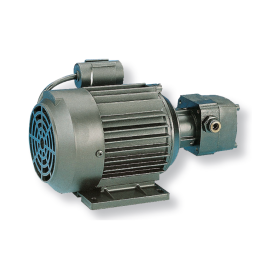 EL200 - EL201 Rotary motor pumps